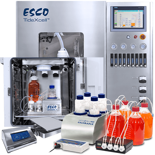 Tide Motion Bioreactors